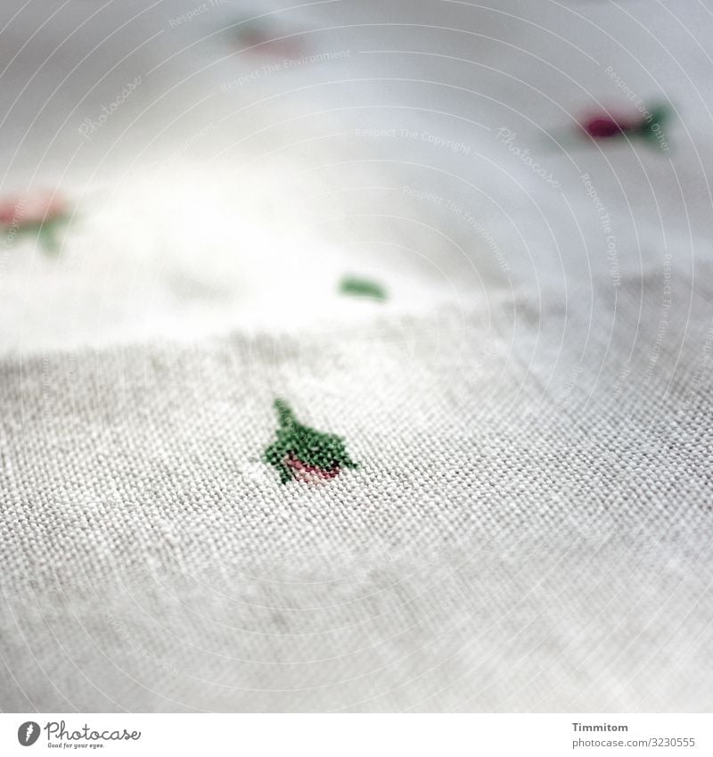 Table cloth from front tablecloth Handcrafts embroidered Flower Blossom leaves red green Old worth preserving Cloth White Shallow depth of field Wrinkles