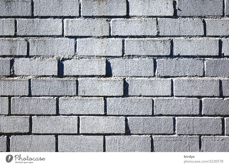 wall Bricklayer Wall (barrier) Wall (building) Brick wall Line Authentic Simple Gray Black Protection full-frame image Background picture Colour photo