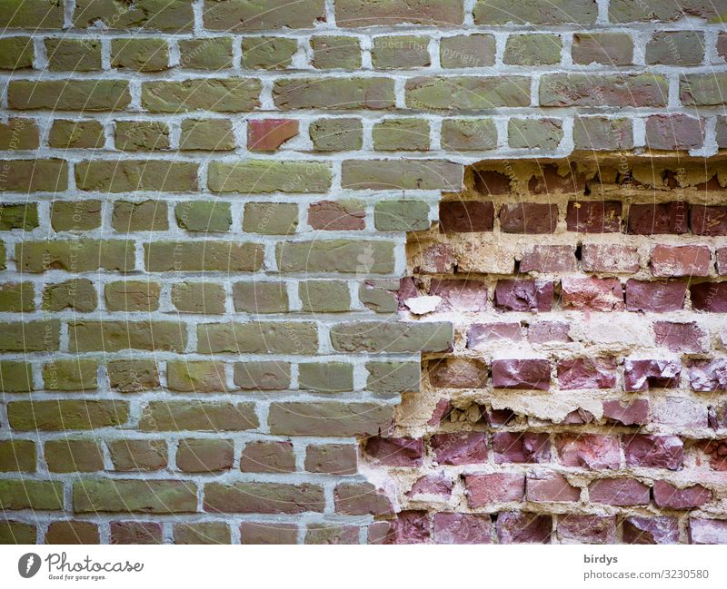 Freedom lures Wall (barrier) Wall (building) Brick wall Authentic Firm Broken Rebellious Brown Gray Pink Emotions Brave Determination Loneliness Claustrophobia