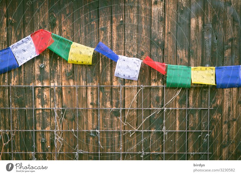 Buddhist flags Wall (barrier) Wall (building) Wooden wall Prayer flags Buddhism Sign Authentic Free Friendliness Positive Blue Brown Yellow Green Red White