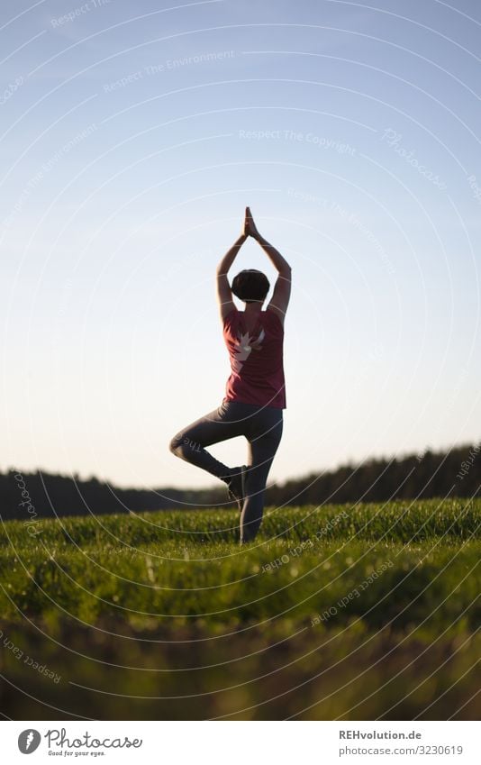 Woman doing yoga in nature Yoga Nature Back-light Human being Athletic Sports Attentive silent tranquillity relaxation Silhouette Lifestyle Sunlight Sunset