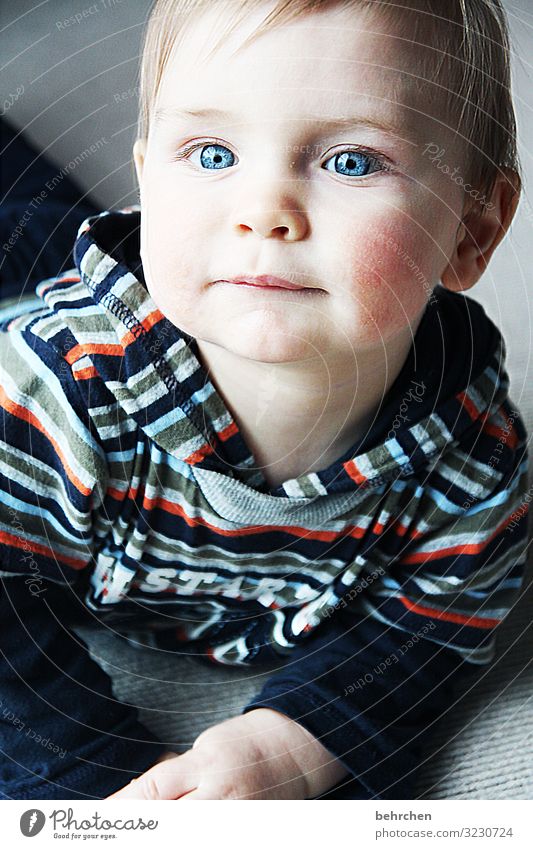 . 0 - 12 months Love Cute Colour photo portrait Boy (child) Face Family & Relations Interior shot Infancy Baby blue eyes Marvel Curiosity guard sb./sth. Trust