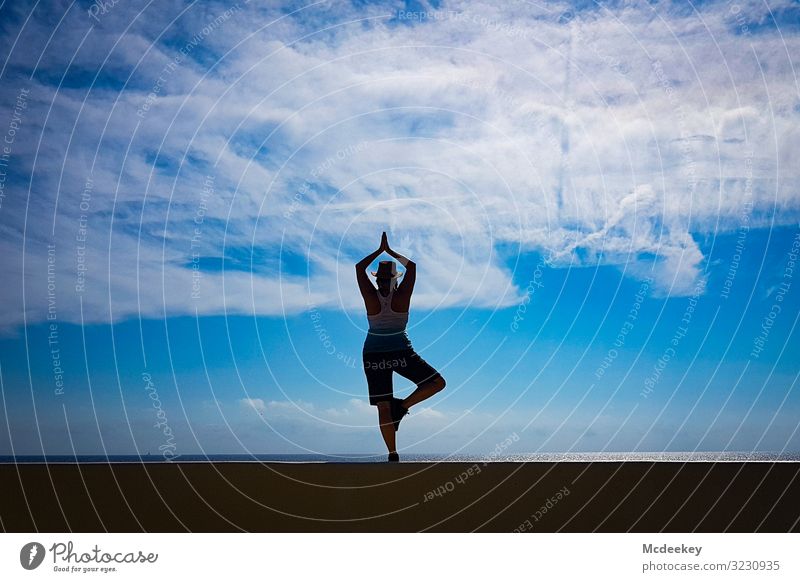 Yoga - the freedom Relaxation Adults Lifestyle Balance meditating Woman Meditation Body Nature Fitness Healthy Summer Exterior shot Sky Sun Sunlight Clouds Calm