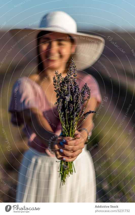 Cheerful female with bouquet of lavender woman field collect flower pick blooming nature travel tourism trip vacation elegant cheerful happy hat stand