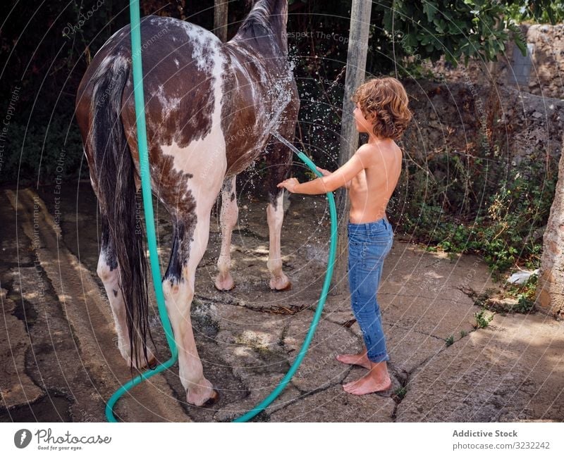 Child caressing and washing horse in summer boy farm child stallion barefoot hose countryside love ranch water vacation splash hobby holiday rider summertime