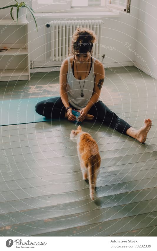 Relaxed woman playing with cat on floor at home relaxed caring feline domestic apartment barefoot casual modern minimalistic sit pet young adult cute animal