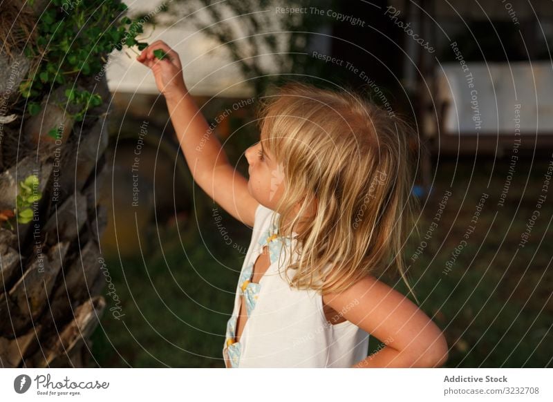 Girl touching leaves on tree in garden girl leaf little kid peaceful hand on waist joy foliage trunk lifestyle rest relax calm tranquil serene cute adorable