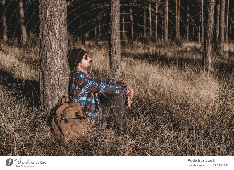 Relaxed tourist resting by tree in forest relaxed man evergreen cold dried sunny autumn season sit hat sunglasses backpack woods young adult lifestyle nature