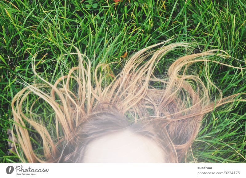 summer hair Summer Grass Hair and hairstyles Hairy Strange Face Forehead Child Girl Exterior shot Lawn Green uncombed Wild Muddled Joy Playing Romp Relaxation