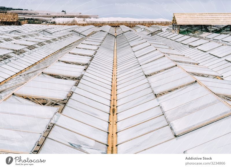 Glass greenhouse roofs in overcast weather farm glasshouse hothouse rural business garden work hotbed horticulture polycarbonate construction propagator