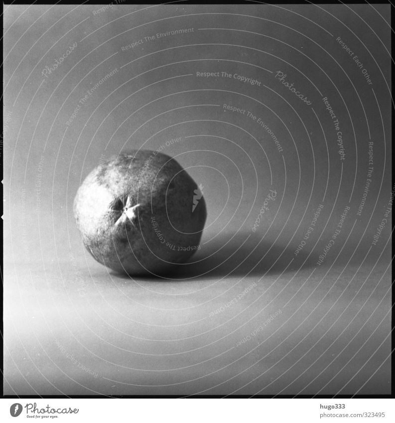 Mango in monochrome Monochrome black-white black on white Black White Contrast Retro Close-up Nature Fruit hasselblad Square 6x6 Medium format Analog movie