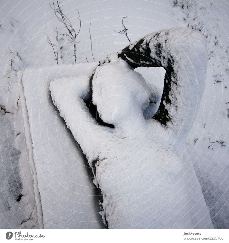 Snow conditions for hibernation Feminine Monument Statue Metal Esthetic Cold Eroticism Under Moody Serene Identity Art Change Time Posture Nude photography