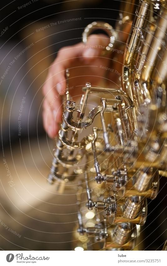 The Tuba Player Art Artist Music Listen to music Concert Stage Musician Orchestra Compulsive gambling Brass band music Musical instrument brass player
