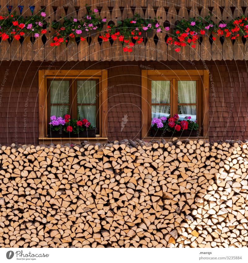 Black Forest farmhouse facade House (Residential Structure) Facade Brown Wooden house Window flowers Black Forest house Living or residing Farm Village Cozy