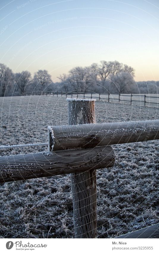 Cold morning Environment Nature Landscape Cloudless sky Winter Climate Beautiful weather Ice Frost Snowfall Field Forest Fence Pasture fence Hoar frost