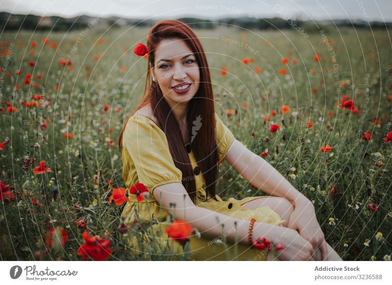 Woman sitting in field with poppies and daisies woman flower rural poppy daisy pensive calm red green yellow white effortless charm red hair chamomile