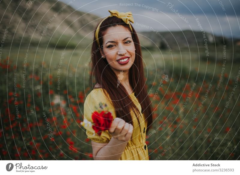 Beautiful glad adult woman holding rose and looking at camera while standing in meadow flower beauty rural headband pleased field pensive effortless charm