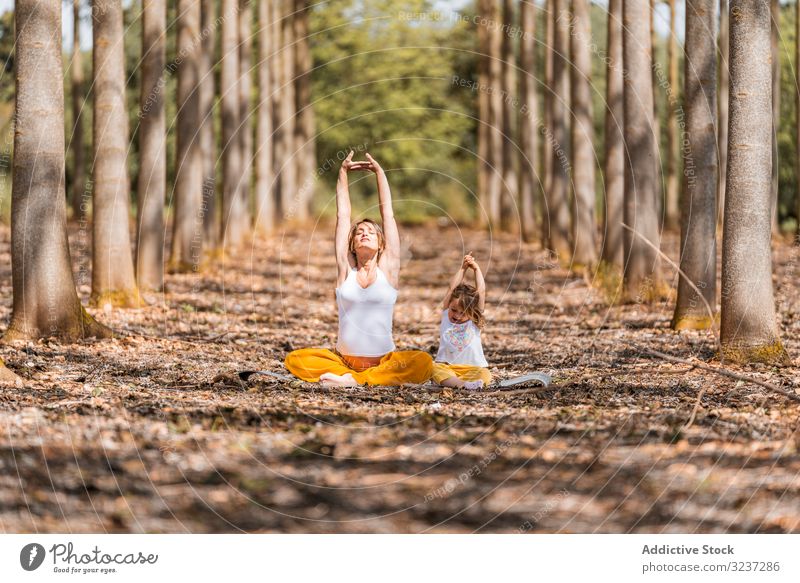 Mother with daughter practicing yoga on ground in glade among trees in park during sunny day mother stretch relax health positive practice exercise sportswear