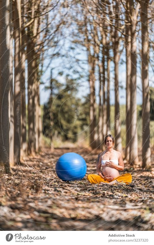 Serene adult pregnant woman meditating while sitting on ground among trees in park during sunny day yoga pilates ball meditation relax belly glade exercise