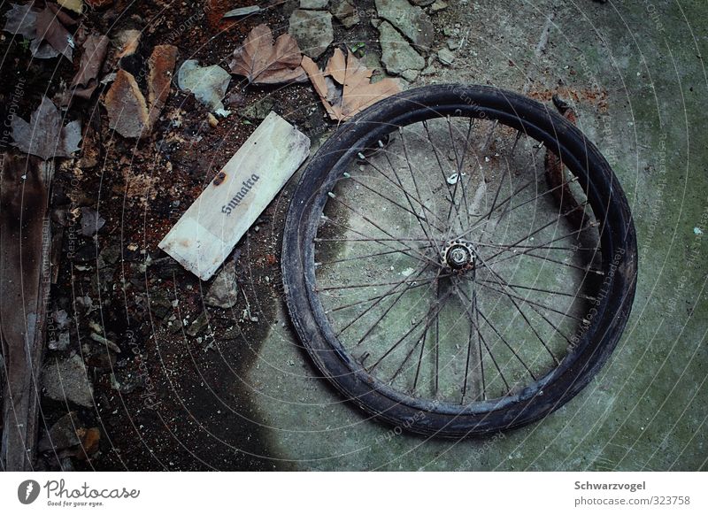 Bike - Travel to Sumatra Wheel Bicycle tyre Ground Rust Old Derelict Urbex foliage head cinema Decline Forget Transience