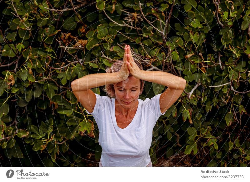 Adult woman meditating near bush meditation exercise clasped hands tai chi closed eyes nature training female adult healthy breath shrub green fit yoga
