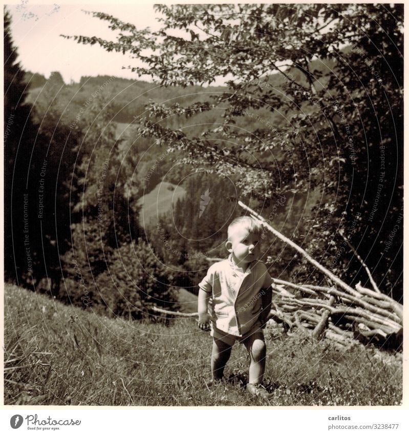 To the mountains in the morning ... The fifties Child Boy (child) Hiking Trip Black Forest Family & Relations Together