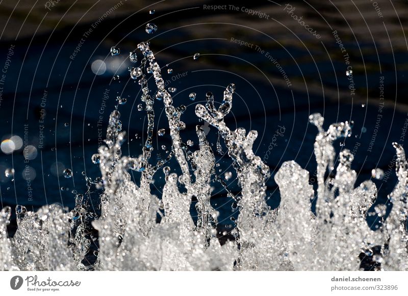 dancing water Nature Elements Water Drops of water Black White Movement Subdued colour Detail Deserted Copy Space top