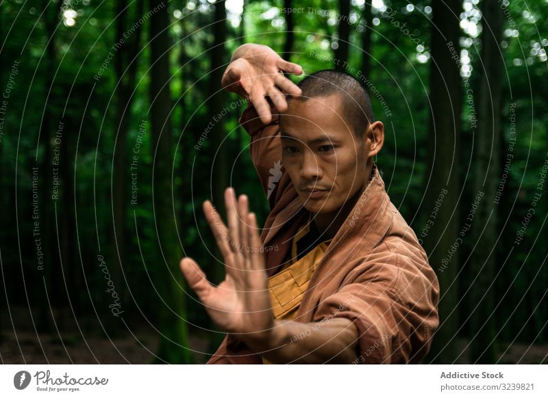 Ethnic man practicing martial arts in forest training serious taiji retreat ethnic exercise uniform practice male bald focused concentrated workout asian