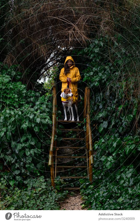 Woman in yellow jacket with dog on stairs at plant fence wet woman walking female pet cute garden animal owner adorable doggy standing domestic green nature