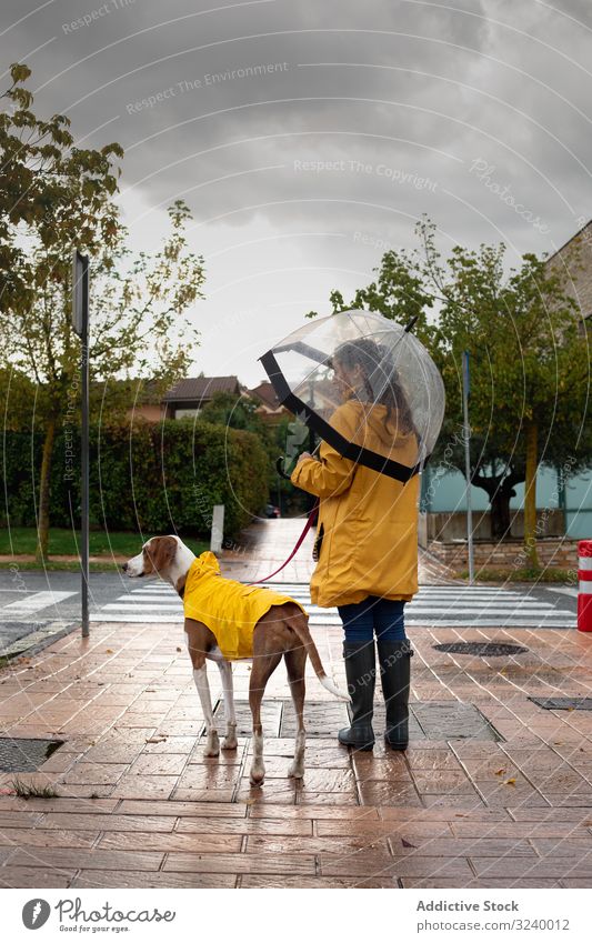 Woman walking with dog in cloak in street woman animal pet together rain urban yellow jacket hood road female friendship companion leash casual domestic canine