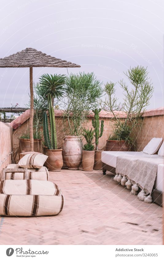 Plants and sofa on terrace plant tropical umbrella comfort decor hotel marrakesh morocco building house exotic growth vegetation furniture architecture nobody