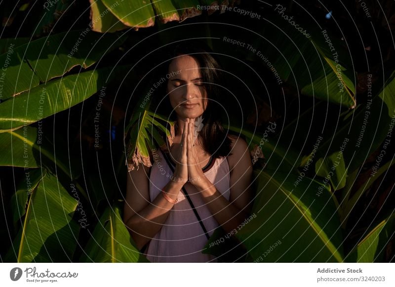 Woman meditating near tropical bush woman meditation yoga closed eyes clasped hands plant leaf health female spiritual relax rest stress relief mindfulness