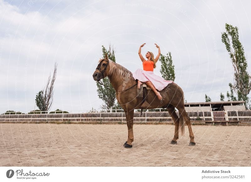 Graceful rider sitting at harnessed horse walking along paddock graceful carefree fancy hands up woman beautiful barefoot dancer hippodrome young adult healthy