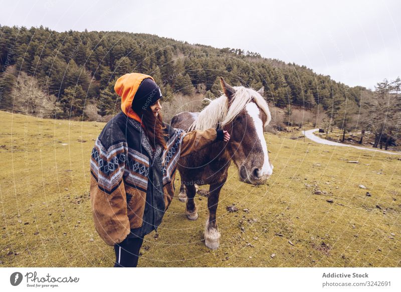 Woman petting nose of obedient horse in field woman tourist fiend forest loving stroking peaceful stand rural young adult lifestyle rider travel valley nature