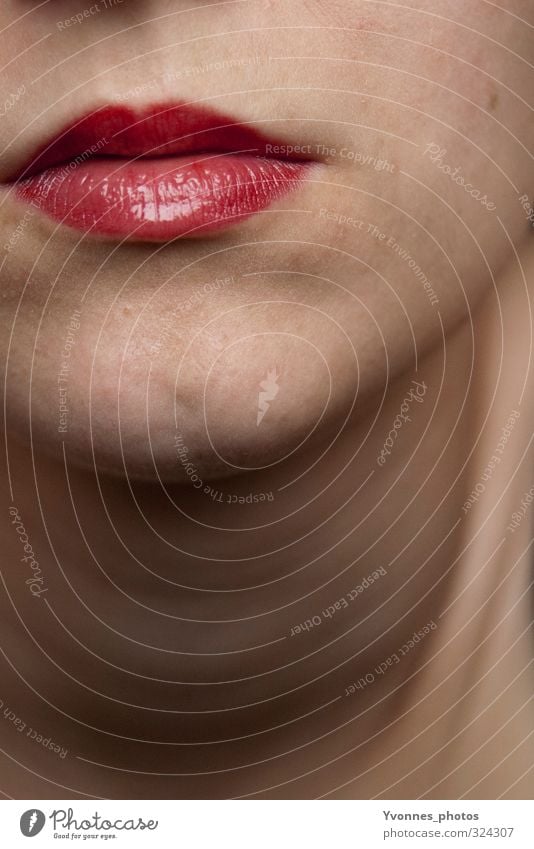 Lips. Human being Feminine Young woman Youth (Young adults) Woman Adults Head Mouth 1 Red Lipstick Cosmetics Beautiful Colour photo Interior shot Close-up