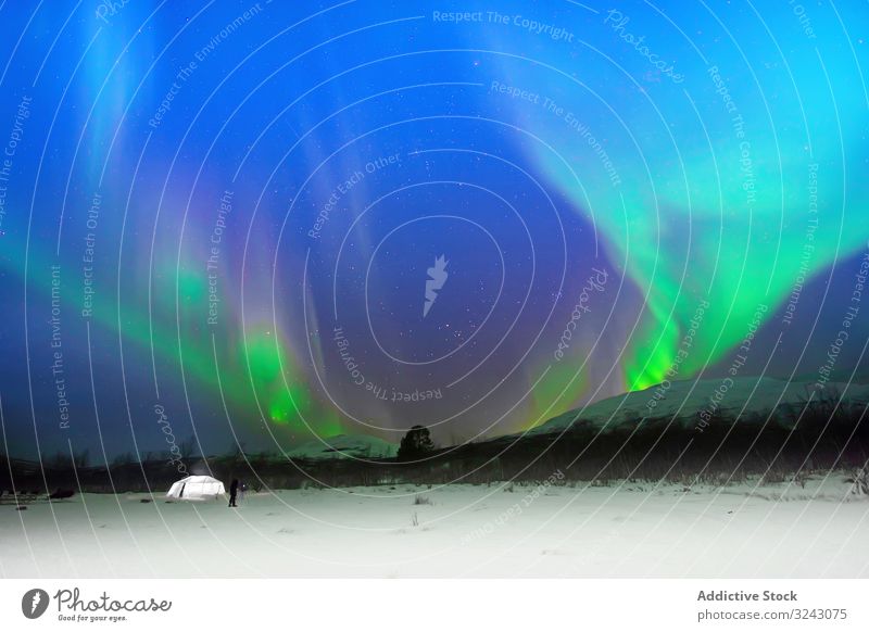 Polar lights over trees in winter countryside northern lights night snow conifer forest glow green atmospheric nature cold cool aurora borealis polar landscape