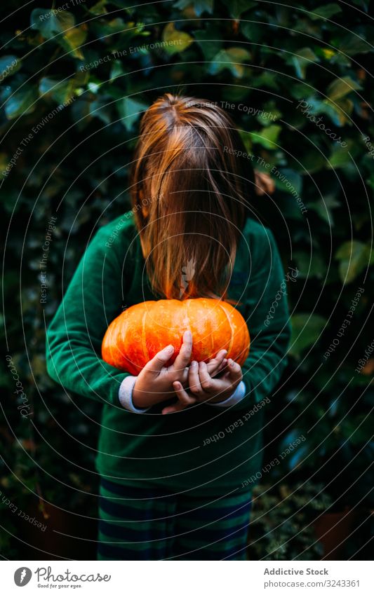 Child with pumpkin pretending monster in Halloween style child ripe halloween orange garden autumn horror covering face stalk healthy symbol traditional kid