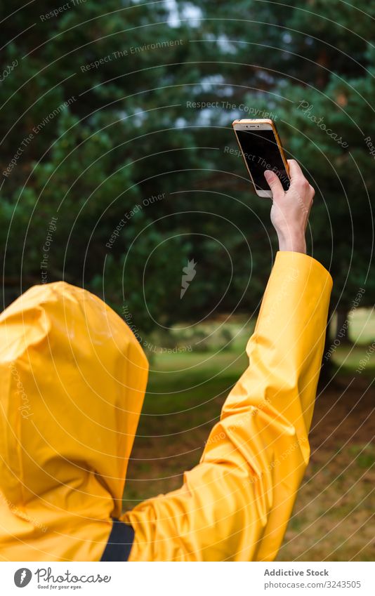 Woman in hoodie and yellow raincoat taking selfie woman smartphone forest walking nature using wet park casual weather waterproof pine forest gadget device