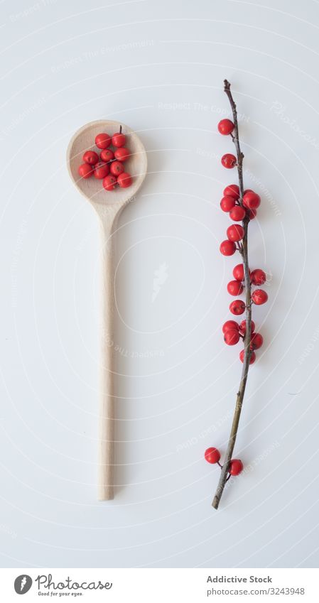 Winter berry holly in spoon and on twig winter berry holly red season nature natural harvest garden simple minimalism cutting bright seasonal forest leafless