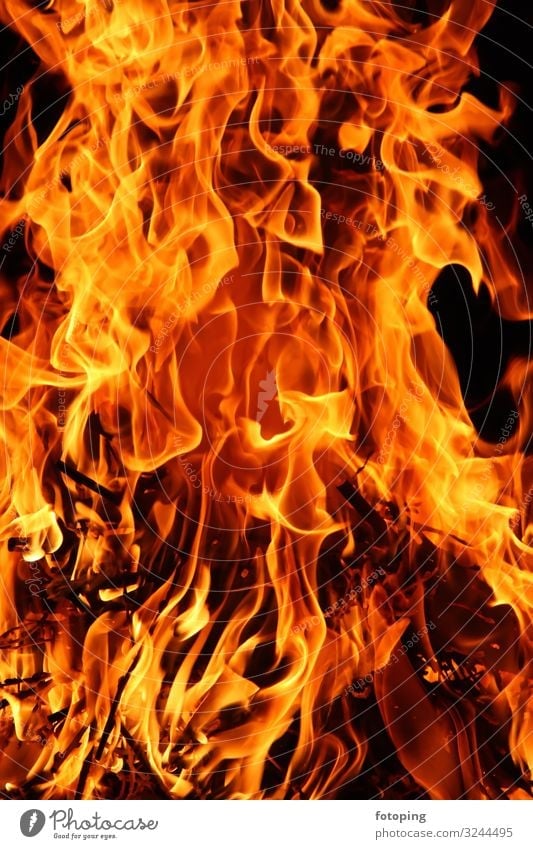 fiery Warmth Wood Hot Romance Firewood Flame Embers hardwood Heating Smoke incineration Ignite Burn burning burning fire Burning wood photography Cozy
