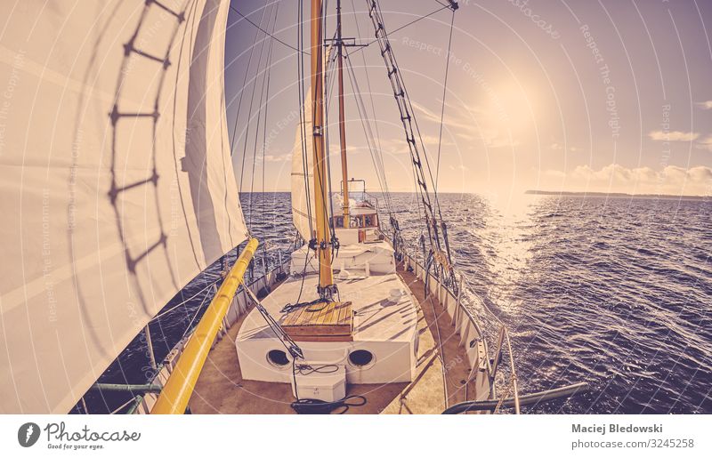 Old sailing ship at sunset. Lifestyle Vacation & Travel Tourism Adventure Far-off places Freedom Cruise Sun Ocean Sailing Sky Horizon Wind Transport