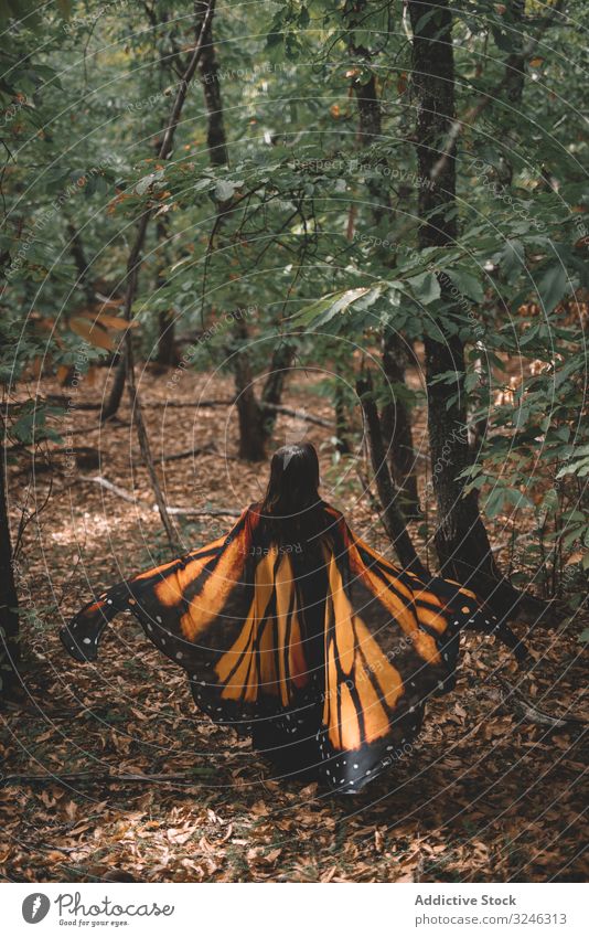Woman in butterfly costume in forest woman dance wing cape tree nature hill female tender elegance graceful bug insect imitation lush foliage slope apparel