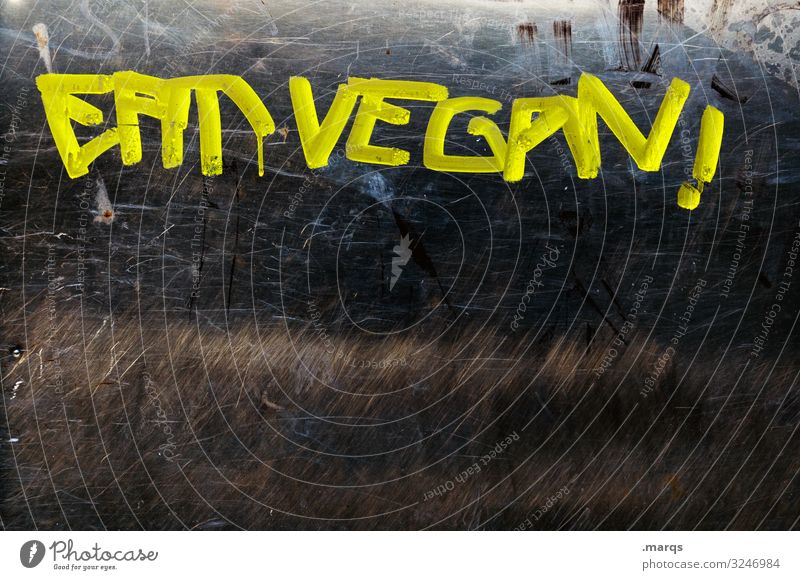 Eat vegan! | Written Nutrition Eating Vegan diet Characters Graffiti Trashy Yellow Black Healthy Colour photo Exterior shot Close-up Deserted Copy Space bottom