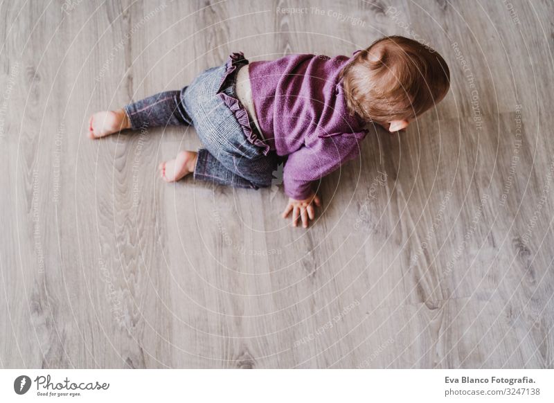 portrait of beautiful baby girl crawling at home Lifestyle Joy Leisure and hobbies Playing House (Residential Structure) Kindergarten Child Human being Feminine