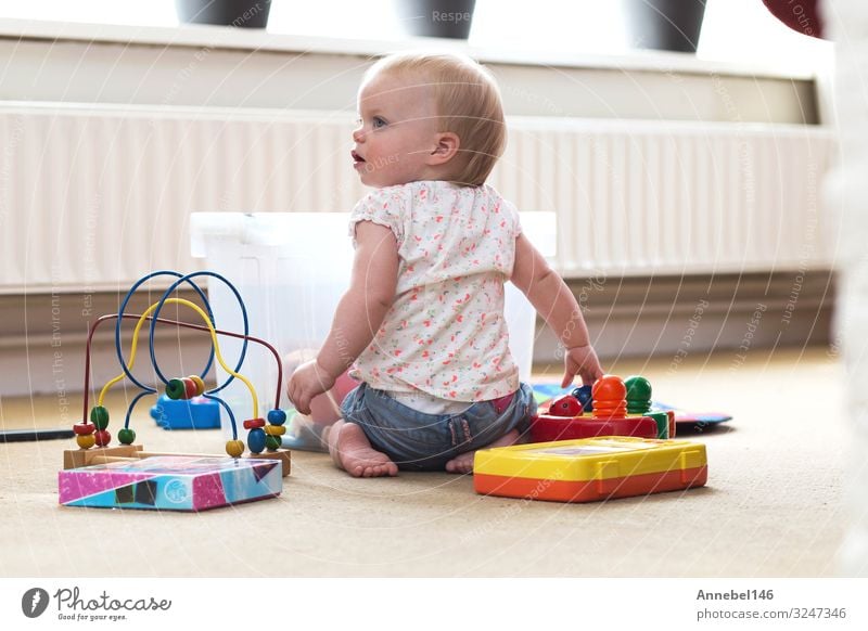 Baby playing alone with toys on a carpet on the floor at home Lifestyle Joy Happy Relaxation Leisure and hobbies Playing Living room Child Human being Toddler
