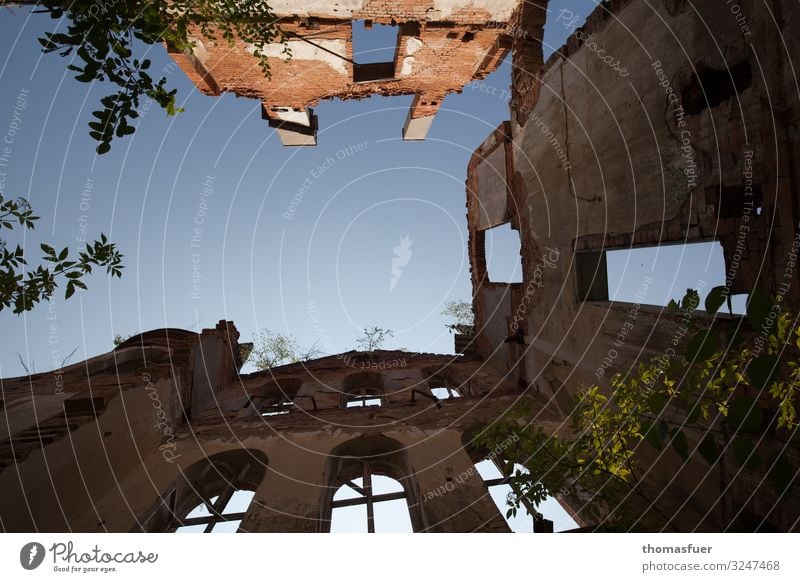 Ruin with sky, frog's eye view Tourism Sightseeing Summer Sky Cloudless sky Beautiful weather Tree Bushes Park Old town House (Residential Structure) Church