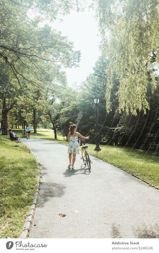 Casual lady wheeling bicycle at beautiful park woman walking summer sunlight casual dress female activity lifestyle sport road transport weekend carefree