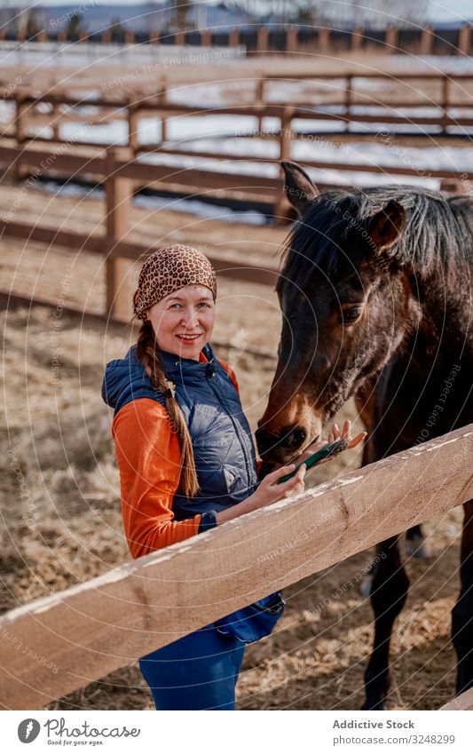 Worker caring for brown horse in open yard woman tiding stroking pet horse breeder animal care nature mammal uniform straw bridle farm stallion saddle horseback