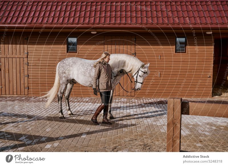 Warm dressed woman with gray horse outside pet stallion animal care nature mammal straw farm saddle horseback pasture stable field affection countryside love