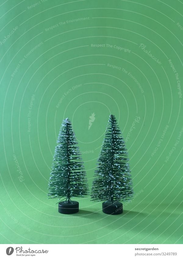 Second Advent. Model-making Winter Christmas & Advent Environment Tree Foliage plant Fir tree Sign Cute Point Thorny Green Contentment Kitsch Minimalistic
